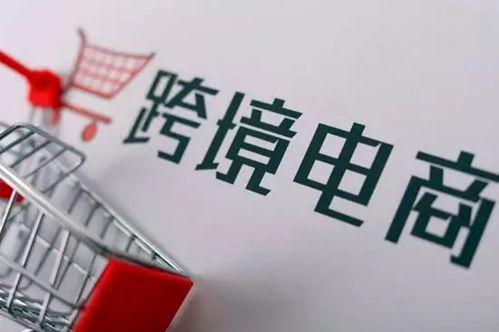 海南自貿(mào)港加速建設(shè)，跨境電商直購時代來臨 信息咨詢服務(wù)的機遇與挑戰(zhàn)